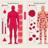 Effet de Turinabol sur l'hématocrite